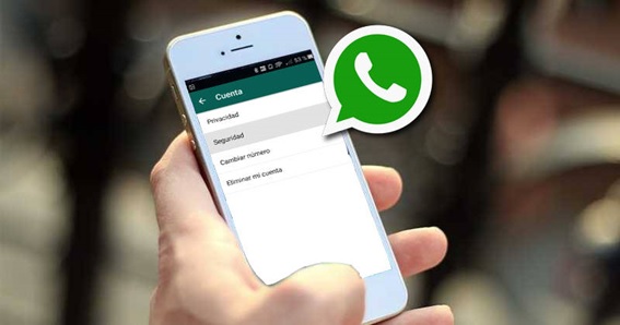 hub internet atendimento via whatsapp